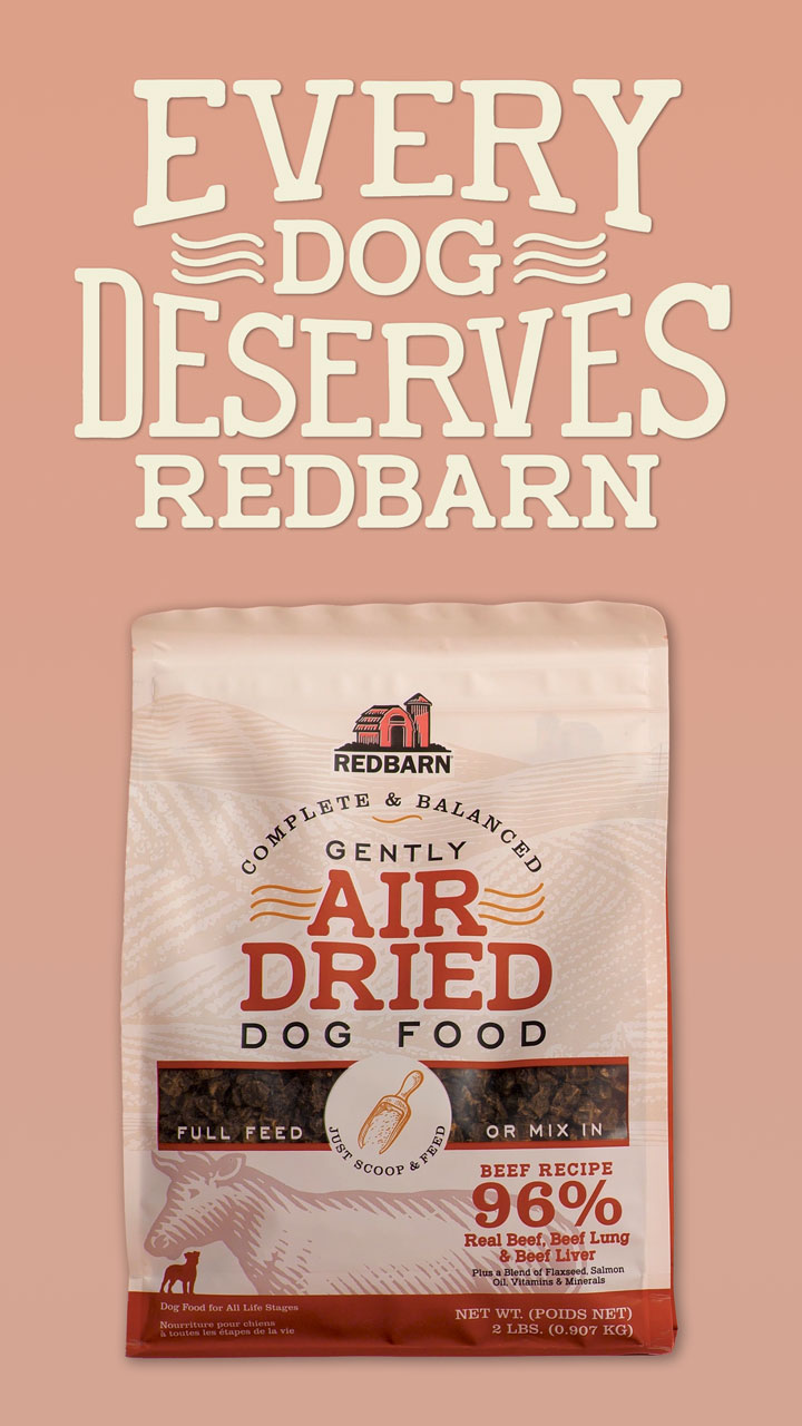 rbedd_poster